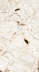 Керамогранит Florim Nature Mood Tundra Gloss бежевый (60x120) глянец